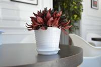 Горшок Верона D14,5 , 1,65 л  белый   