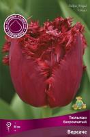 tuplan_bahrom_versache_kaper