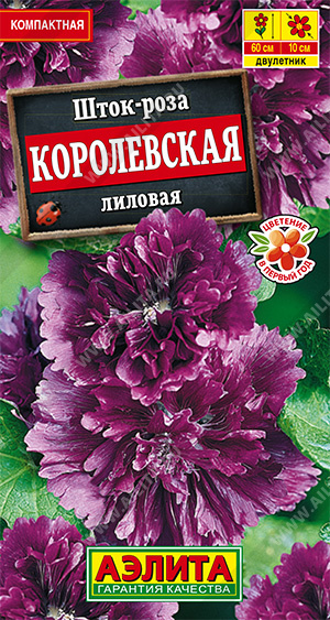 АЭ Шток-роза Королевская лиловая 10 шт