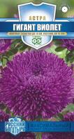 ГВ Астра Гигант виолет, однолетняя (игольчато-коготковая)*  0.1 гр серия Русский богатырь Н18