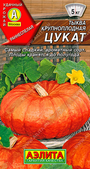 АЭ Тыква крупноплодная Цукат 1г