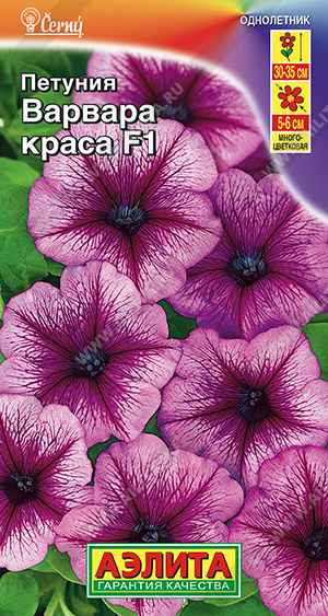 АЭ Петуния Варвара Краса F1 многоцветковая  10шт