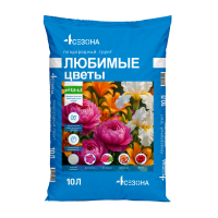 4 сезона  любимые цветы 10 л мокап лицо