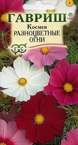 ГВ Космея Разноцветные огни 0,5 г