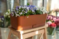 Балконный ящик с поддоном Прованс  9,5 л, терракот 58*17*12,7 см