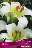 liliya_trubchat_white_planet_kaper