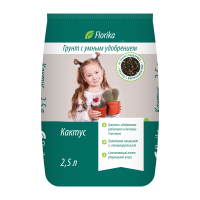 Florika Кактус 2.5 л
