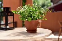 горшок ВИНОГРАД-терракот