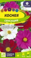 Lt021207 Lt021207