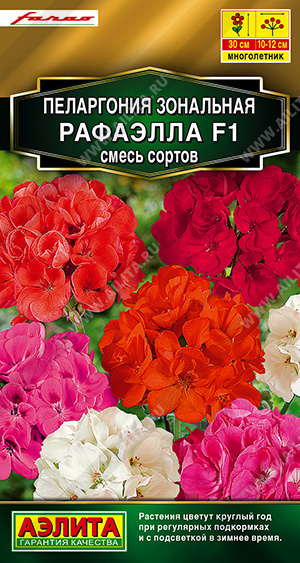 АЭ Пеларгония Рафаэлла F1, смесь окрасок 5 г