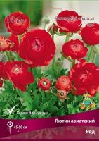 lutik_asia_red_kaper