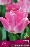 tulpan_triumf_crown_of_dinasty_kaper