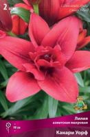 liliya_asia_mahrov_kanari_uorf_kaper