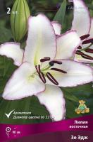 liliya_vost_ze_edge_kaper