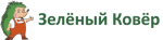 Зеленый ковер