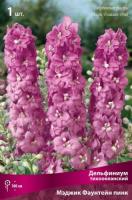 delphinium_tihookean_magic_fountain_pink_kaper