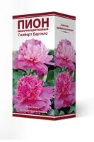 pion_moloch_gilbert_bartelo_3D