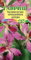 ГВ Баухиния Орхидейное дерево 3 шт.  