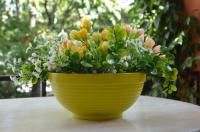 Цветочная миска Парма D34, 9 л фисташка