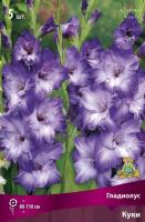 gladiolus_kuki_kaper