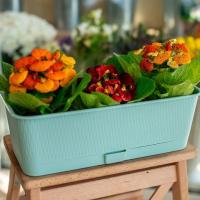 Балконный ящик с поддоном Прованс -ментол