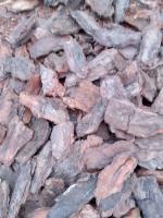 WhatsApp Image 2025-04-18 at 10.03.49