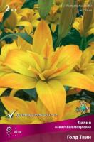 liliya_asia_mahrov_gold_twin_kaper