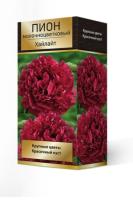 pion_moloch_hailight_3D