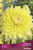 georgina_dekor_billbao_kaper