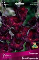 gladiolus_black_surprise_kaper