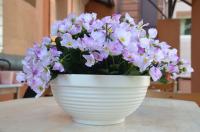 Цветочная миска Парма D26, 4,1 л, белая