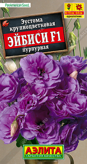 АЭ Эустома Эйбиси F1 пурпурная крупноцветковая махровая 5 шт