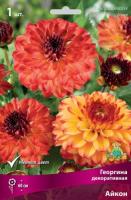 georgina_dekor_aikon_kaper