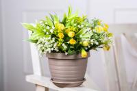 Цветочный горшок ТОЛЕДО-фрапе