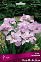 iris_sibir_kita_no_seidza_kaper