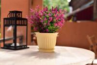 горшок ВИНОГРАД-кремовый