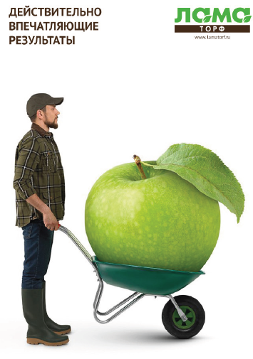 Результаты Результаты