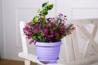 Горшок с поддоном Толедо D 27, 7 л  лаванда 