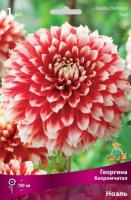 georgina_bahrom_noel_kaper