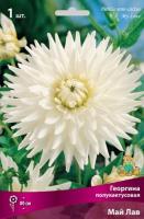 georgina_polukaktus_my_love_kaper