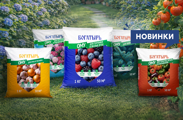 Скоро в продаже. 