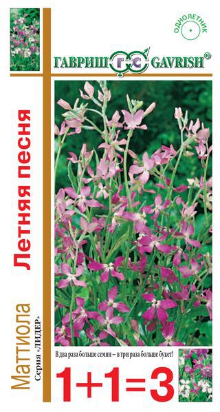 ГВ Маттиола двурогая/Левкой/ Летняя песня 0,5 г серия 1+1