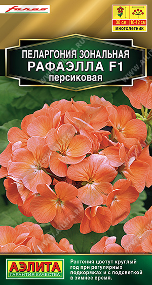 АЭ Пеларгония Рафаэлла F1 персиковая 5 г