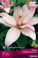 liliya_asia_mahrov_bentli_kaper