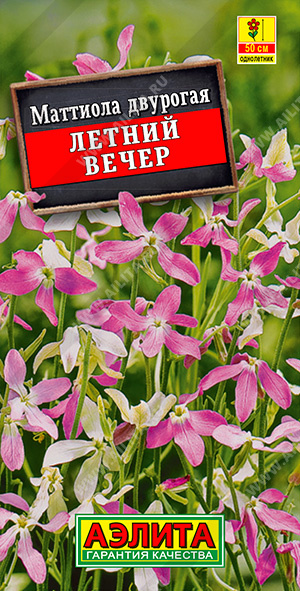 АЭ Маттиола Летний вечер  0,5г