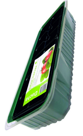 Минипарник под торфяные таблетки 33-36 мм 24 ячейки