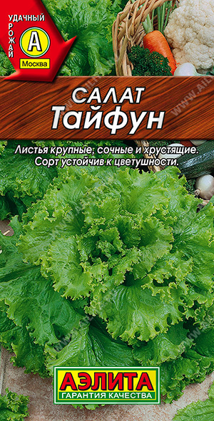 АЭ Салат Тайфун листовой 0,5 г  