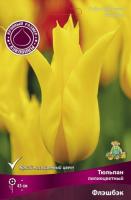 tulpan_lili_flashbek_kaper